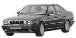 BMW E34 P0CB4 Fault Code